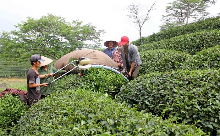 Ban hành 5 quy chuẩn kỹ thuật quốc gia về chất lượng môi trường xung quanh